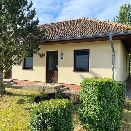 Ferienhaus Vogelmeer 马尔洛 外观 照片